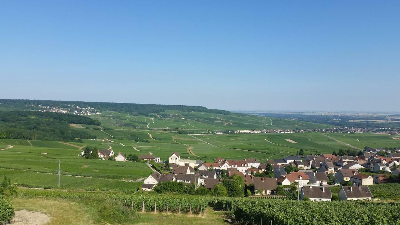 Apartament La Mignonette Épernay Zewnętrze zdjęcie